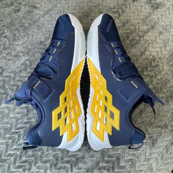 NEW Nike Jordan Alpha 360 TR Michigan Wolverines Mens Size 17‎ main image 4